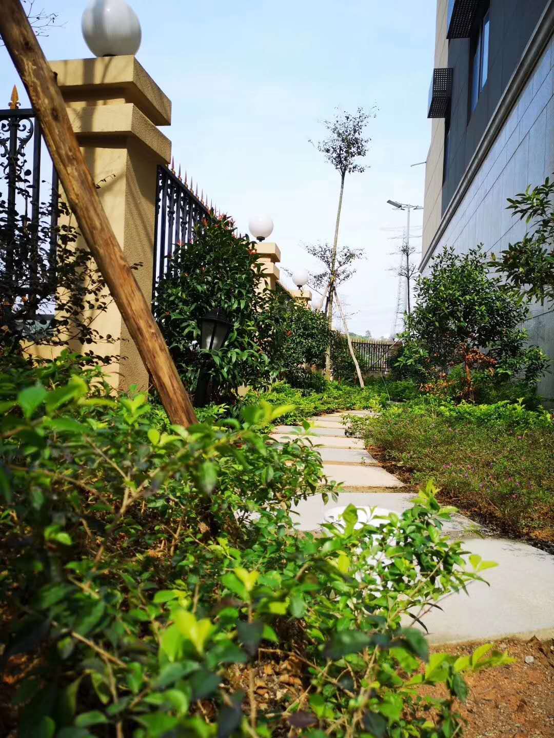 微信图片_20190501095403.jpg